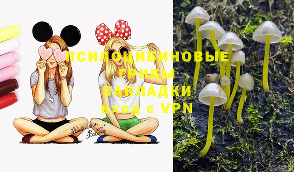 мдма Армянск