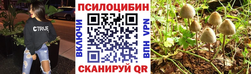 Псилоцибиновые грибы ЛСД Волжский